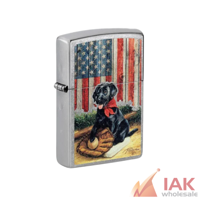 Zippo American Dog with Baseball Mitt Z4180