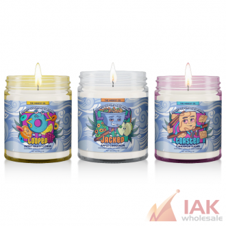 Modest & Co 9oz Candle