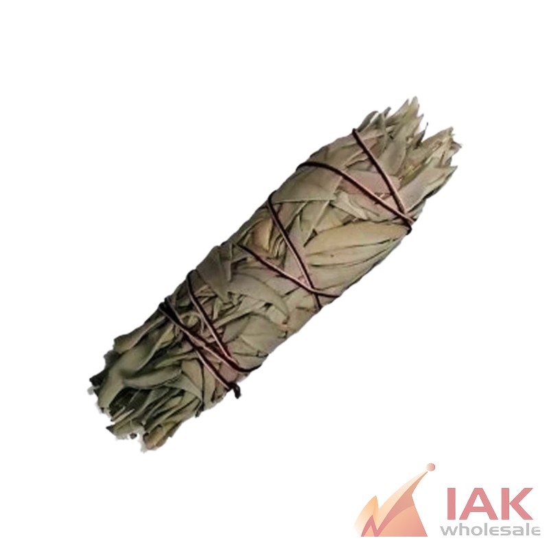 Sage Singular Bundle 6"