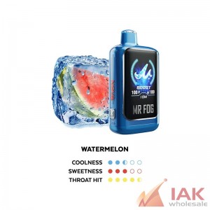 MR FOG Nova Blue Razz Steezy 36K Disposable Vape 100ML 5CT Display