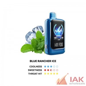 MR FOG Nova Blue Razz Steezy 36K Disposable Vape 100ML 5CT Display