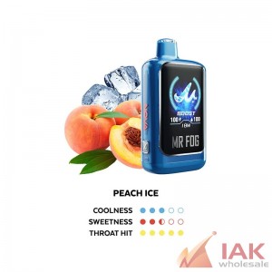 MR FOG Nova Blue Razz Steezy 36K Disposable Vape 100ML 5CT Display