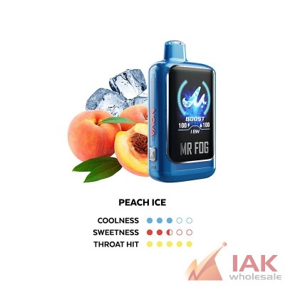 MR FOG Nova Blue Razz Steezy 36K Disposable Vape 100ML 5CT Display