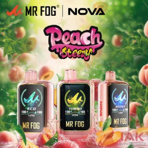 MR FOG Nova 36K Limited Edition Disposable Vape 100ML 5CT Display
