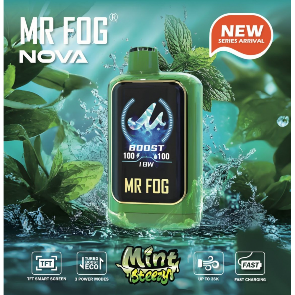 MR FOG Nova Mint Steezy 36K Disposable Vape, 100mL, 5-Count Display