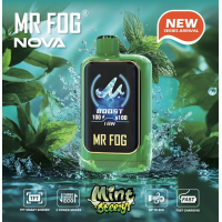 MR FOG Nova Mint Steezy 36K Disposable Vape 100ML 5CT Display