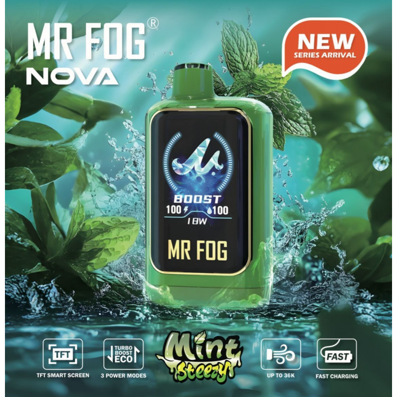 MR FOG Nova Mint Steezy 36K Disposable Vape 100ML 5CT Display