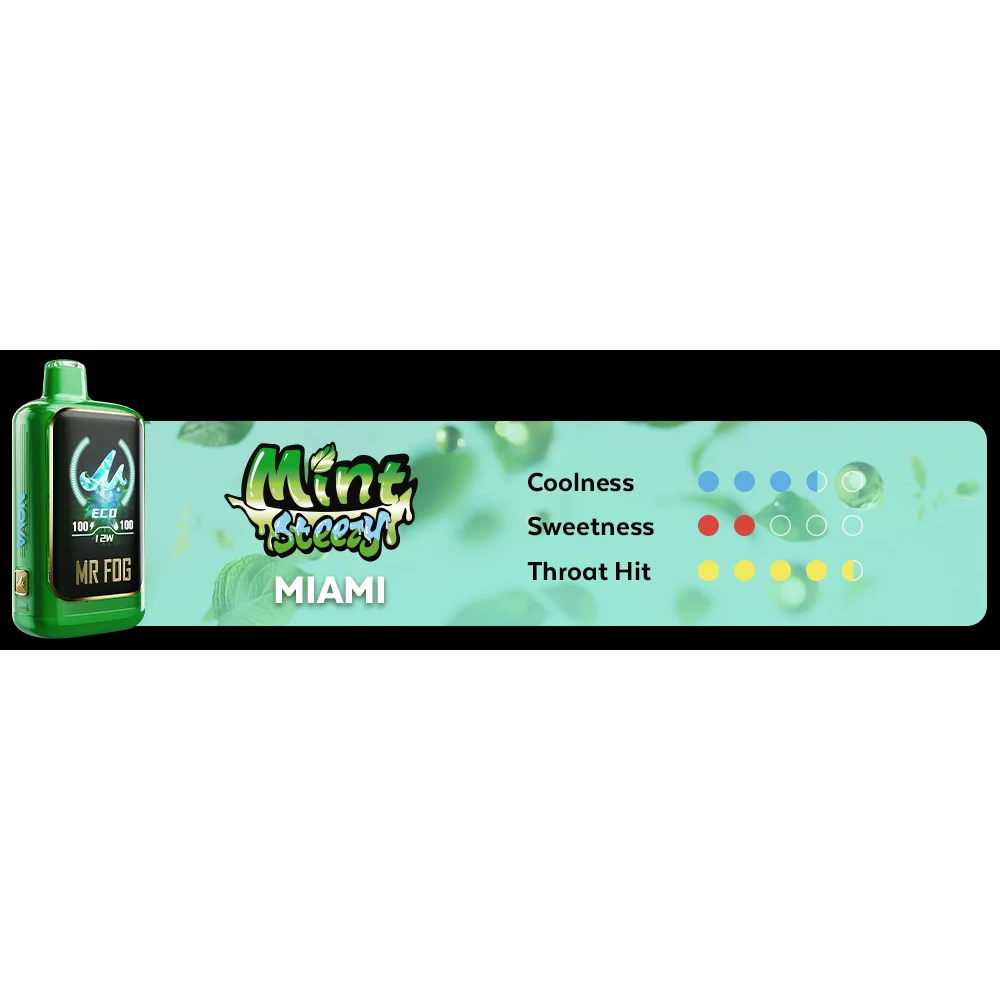 MR FOG Nova Mint Steezy 36K Disposable Vape, 100mL, 5-Count Display
