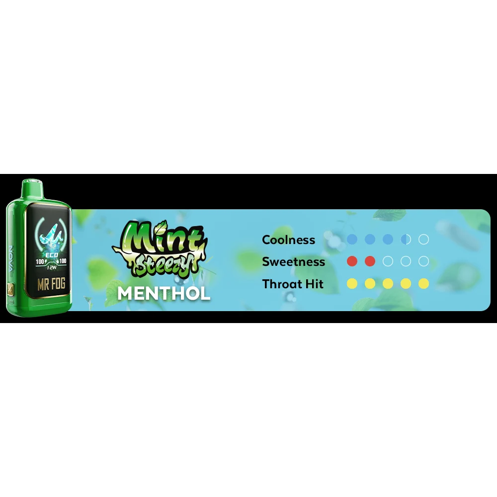 MR FOG Nova Mint Steezy 36K Disposable Vape, 100mL, 5-Count Display