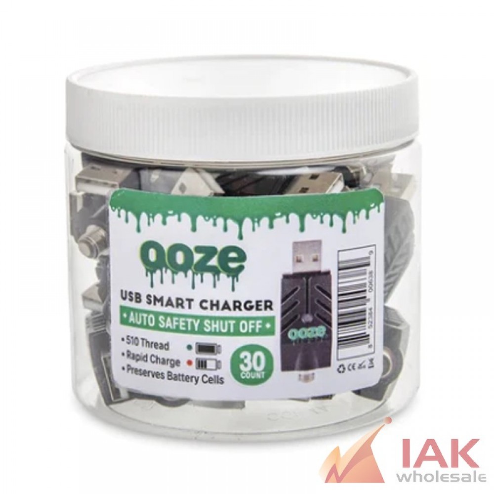 *OOZE - SMART USB CHARGER 30CT*